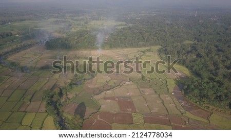 Aerial view and top angle of terraced rice fields after rice planting and forest slopes of mount muria, jepara indonesia