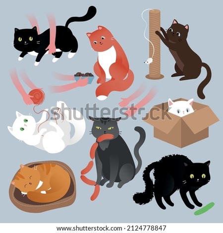 Set of funny cats vector illustrations