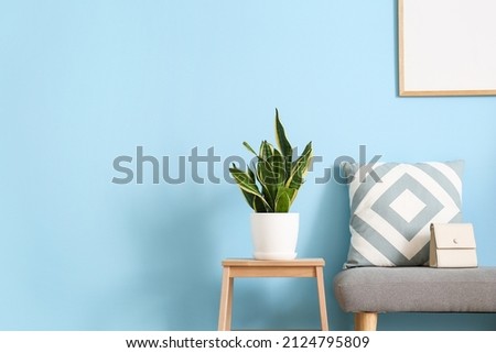 Houseplant on stool, bench with bag and cushion near blue wall Royalty-Free Stock Photo #2124795809