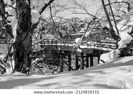 Viewed in a free public park, a traditional wooden bridge framed by snow covered trees in Japan.