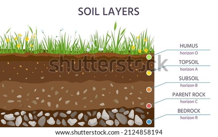 TOPSOIL Stock Vector Images - Avopix.com