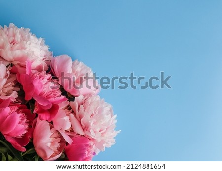 Bouquet of peonies on a blue background. Greeting card concept. Copy space