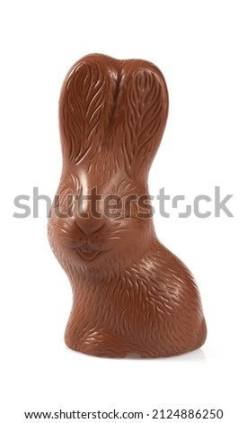 Easter bunny isolated on white background