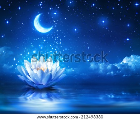 waterlily and moon in starry night - magic background 