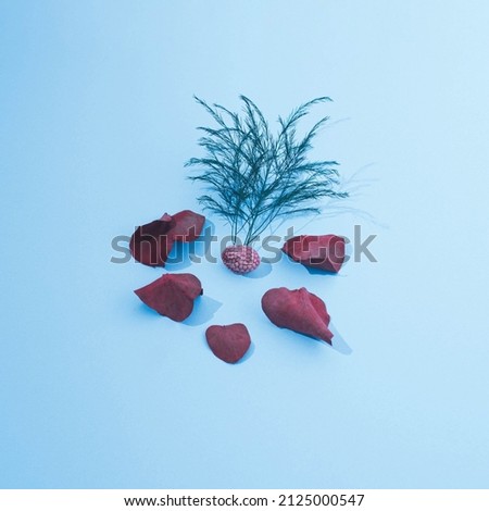 Leaves,cone  and petals. Artistic and minimalistic design