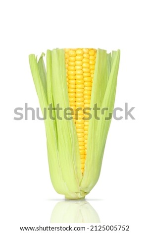 Sweet corn cob with green leaves isolated on white