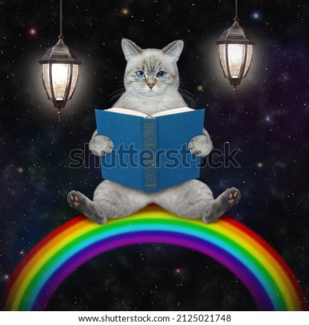 An ashen cat sits on a rainbow and reads a blue book at night.