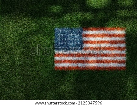 The grass and stripes 3D render of USA flag grown from grass