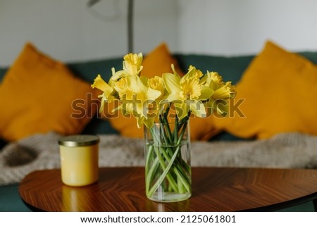 Yellow daffodils in a glass vase and a yellow candle on the table. Blue couch with yellow pillows on the background, white walls. Yellow spring home decoration, fresh bouquet of flowers. Royalty-Free Stock Photo #2125061801
