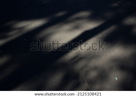 Abstract dark shadow of trees on grey asphalt street road into sun light