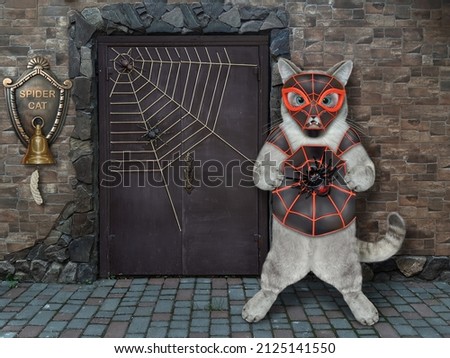 An ashen cat is wearing a spider costume near a door of his house. Spidercat.