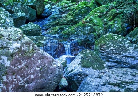 Scenery of small waterfall surrounded by mossy rocks at Akame 48 Waterfalls, Mie pref.