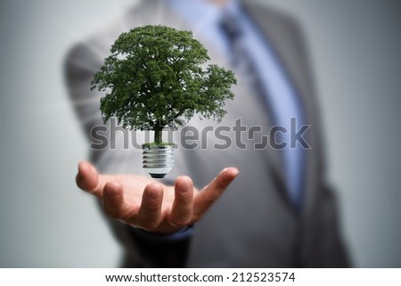 Sustainable resources, renewable energy and environmental conservation concept Royalty-Free Stock Photo #212523574