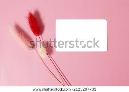 A bouquet of colorful dried lagurus flowers on a pink background. Copy space, flat lay, top view, mock up, template