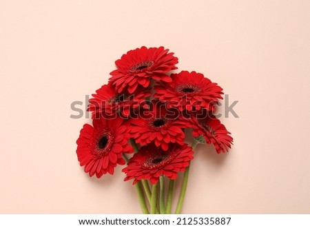 Bouquet of beautiful red gerbera flowers on beige background, top view
