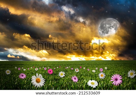 Flower field in the night. Elements of this image furnished by NASA.