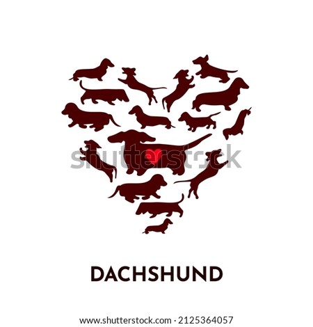 Dachshund dog Silhouette in shape of heart. Vector illustration. Pets in different poses running, jumping, standing. As template of t-shirt print design, greeting card. Funny domestic animal