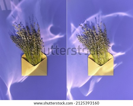 Lavender in an envelope with sun reflections and highlights on a purple background, 2 pictures