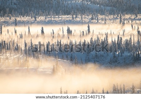 Snow covered landscape with fog in Alaska