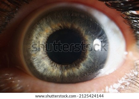 Macro human eye, dilated pupil of gray color, close-up retina Royalty-Free Stock Photo #2125424144