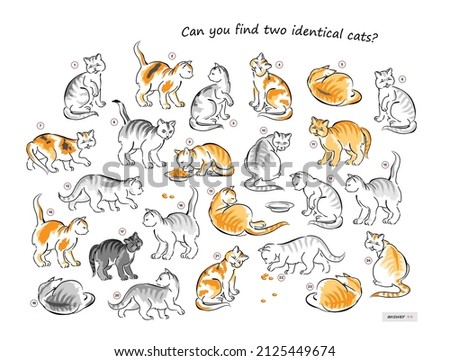 Logic puzzle game for children and adults. Can you find two identical cats? Page for kids brain teaser book. Set of sketches of hungry kittens. IQ test. Play online. Vector cartoon illustration.