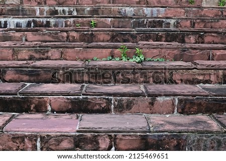 A black stone made stairs with red granite rocks beside. 
Moss green and yellow dandelion growing on stone stairs. Stairs background