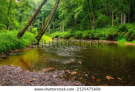 A calm river in the forest. Forest river water. River calm water in deep forest. Forest river view Royalty-Free Stock Photo #2125475606