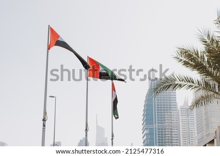 UAE national symbol flag waving outdoor with city and sky background