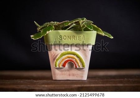 handmade ceramic pot with plant, shapes and texture. Translate: "SMILE"