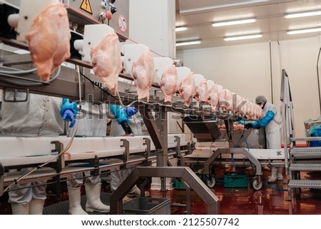 Meat processing plant.Industrial equipment at a meat factory.Modern poultry processing plant.People working at a chicken factory - stock photo.Automated production line in modern food factory.