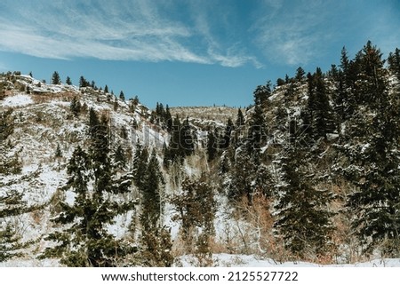 Steamboat Springs, Colorado - Nature, Hiking, Adventure is out there