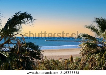 Empty beach on the sea with palm trees. Stone pier on coastline from to side Playa Puebla de Farnals. Coast at sea with waves on sunset sky background. Sea and palms at coastline in Spain. 
