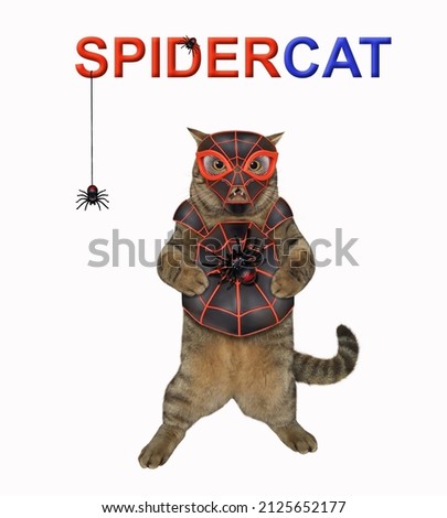 A beige cat is wearing a spider costume. Spidercat. White background. Isolated.