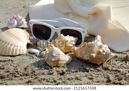 Hat, glasses and shells on the sand