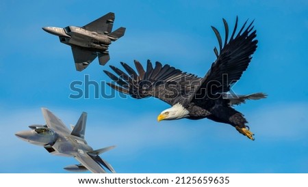 photo of eagle flying with warplanes