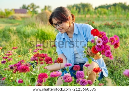Middle-aged woman with garden shears picking bouquet of zinnia flowers Royalty-Free Stock Photo #2125660595