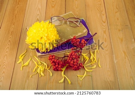 Glasses. Glasses for vision are on the book. Red rowan berries on a rowan tree . Yellow chrysanthemum flower, lilies. Still-life. On a wooden background.