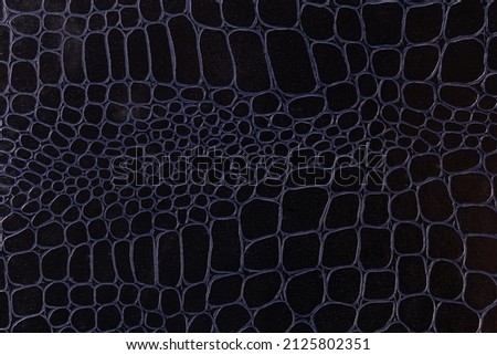 Texture of leatherette imitating of crocodile leather appearance dyed in black, fragment of the leather product close-up, background 
 Royalty-Free Stock Photo #2125802351