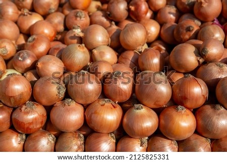 Onions found on the market stall. onion concept. onions on the counter Royalty-Free Stock Photo #2125825331