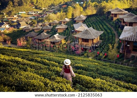 Woman tourist in red dress enjoy beautiful Tea garden.Traveler visiting in Ban Rak Thai village, Mae Hong Son, Thailand. travel, vacation and holiday concept Royalty-Free Stock Photo #2125835063