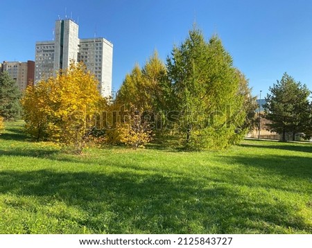 autumn in city park at dry sunny day