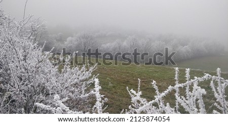 The reliefs soften, the wind models nature, snow and frost are present. In the countryside, the trees laden with snow form a white labyrinth and a magical world is offered to the walkers. Royalty-Free Stock Photo #2125874054