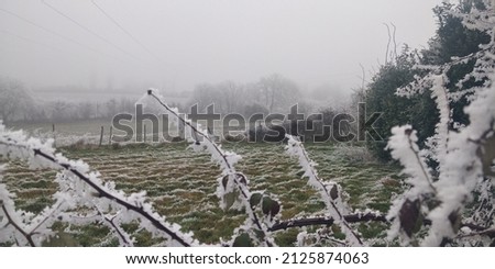 The reliefs soften, the wind models nature, snow and frost are present. In the countryside, the trees laden with snow form a white labyrinth and a magical world is offered to the walkers. Royalty-Free Stock Photo #2125874063