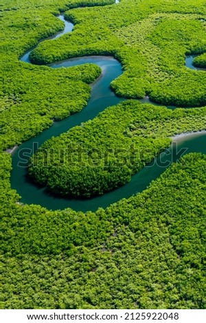Ecosystem and Healthy Environment. Concepts and Nature Background. Tropical Rainforest. Aerial Top View. 