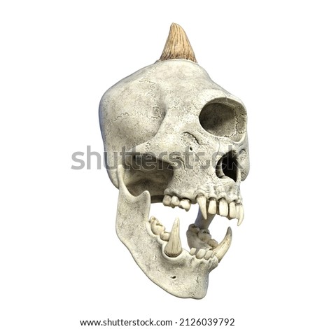 3D illustration over white of an ancient skull of a fantasy cyclops