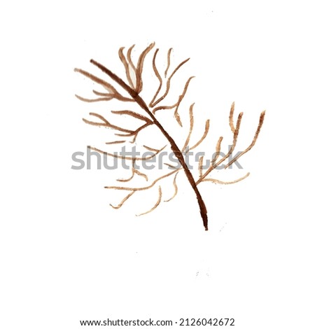 branch dry brown watercolor drawing