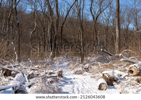 Hiking trail through Illinois Canyon after a Winter snow.  Starved Rock State Park, Illinois, USA.