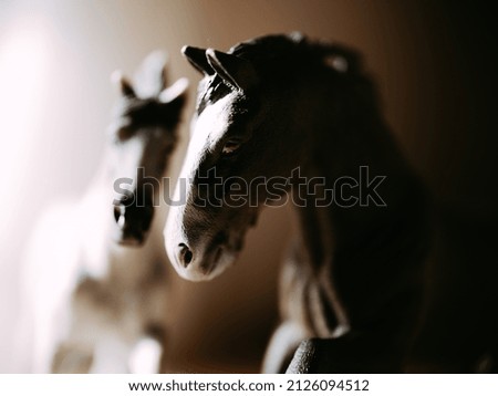 take a picture of a schleich horse figure