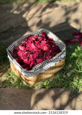 Beautiful red rose petals in a basket