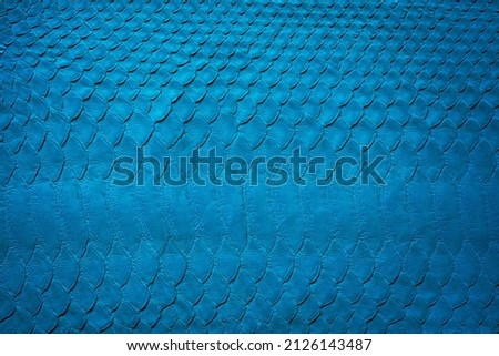 blue snake skin background, natural reptile skin texture.
